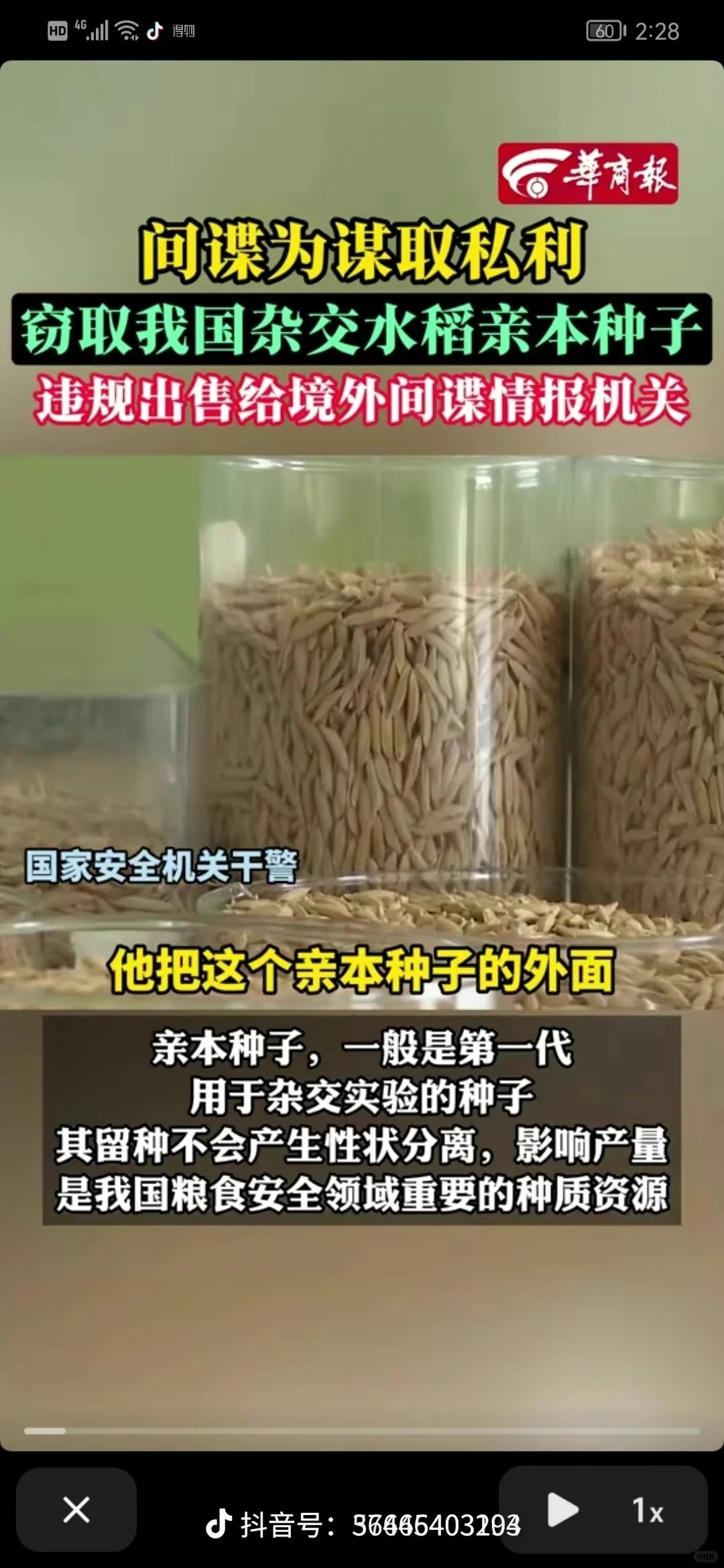 亲本种子到外国，外国人一旦研究出来，他们就会进行种植，然后售卖到中国 ，中国农民