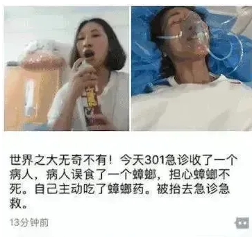 真是卧龙凤雏，笑死我了，真是人才