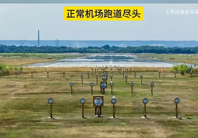 韩国机长虽然努力了，但是还要被骂太菜。飞机撞了鸟，你慌什么！起落架没放，航油没放