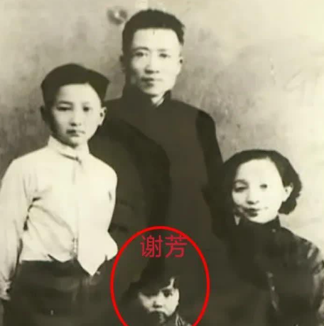 怪不得谢芳年轻时能当演员，她的美貌完全是遗传，看她父母的样貌就知道了，谢芳的母亲