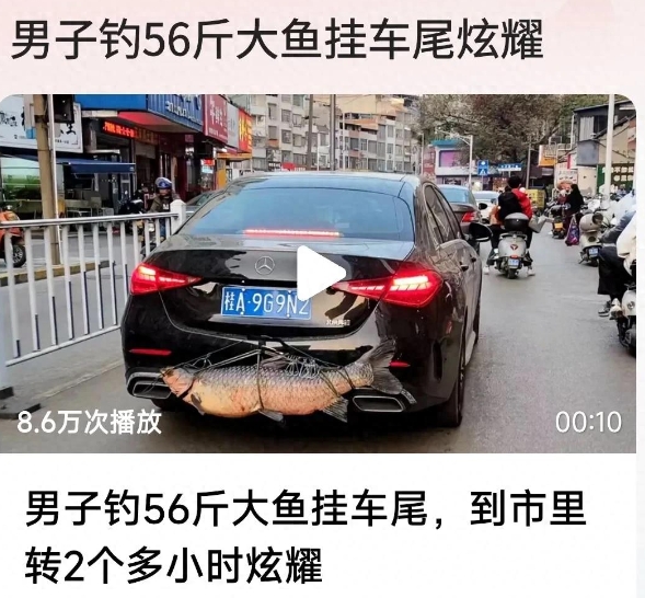有一位陆先生，出门垂钓的时候竟然钓到了56斤的大鱼，这可把陆先生高兴坏了，

于