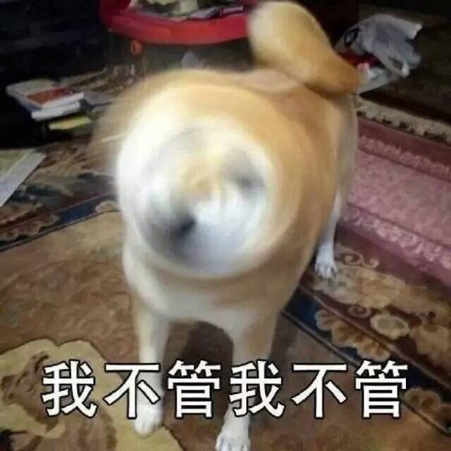 女朋友像一首诗