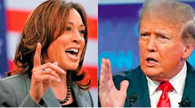 以少胜多：奇特的美国选举制度。

美国的选举制度在外人看来，有其难以理解的成分。