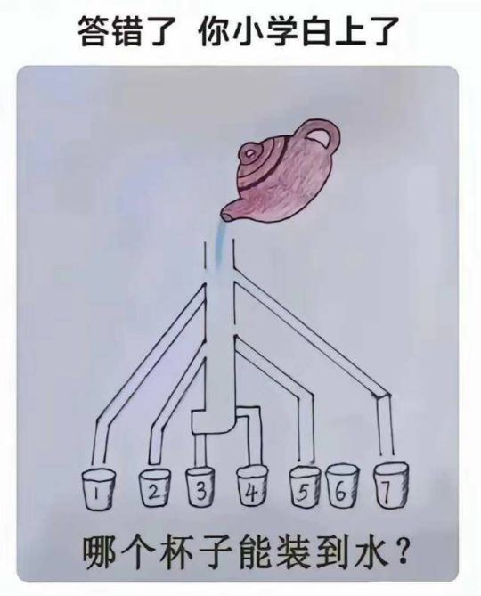 对不起，我小学没毕业