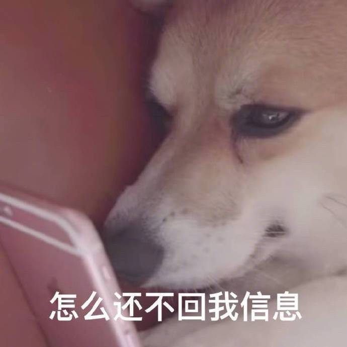对象不回你消息的时候