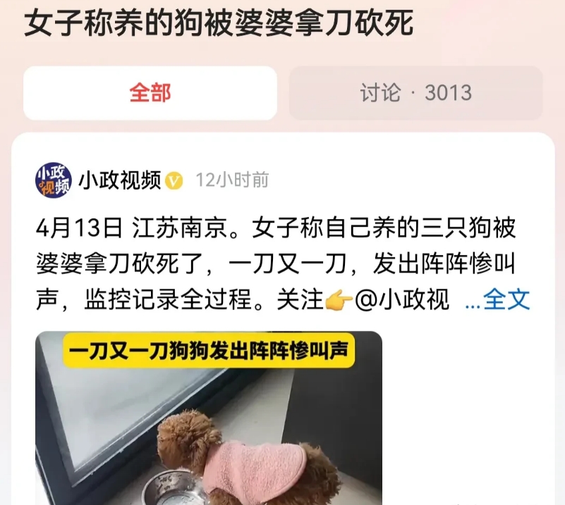 江苏南京，一位婆婆拿着菜刀，将儿媳妇养的3只小泰迪，用门夹住头后，一刀又一刀的活