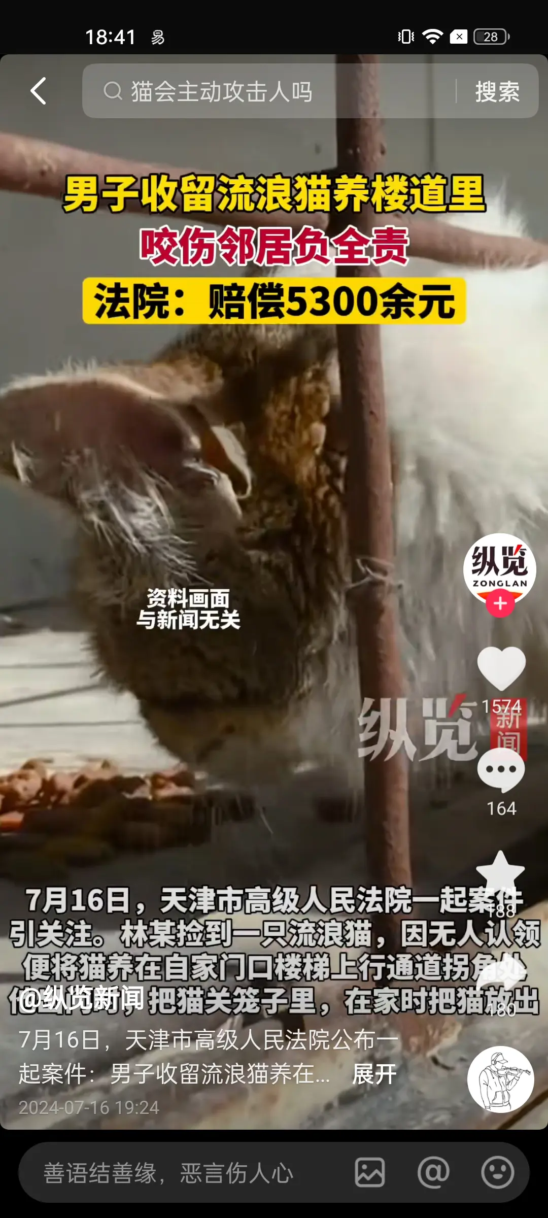 猫是怕人的，不去逗绝对不会咬的