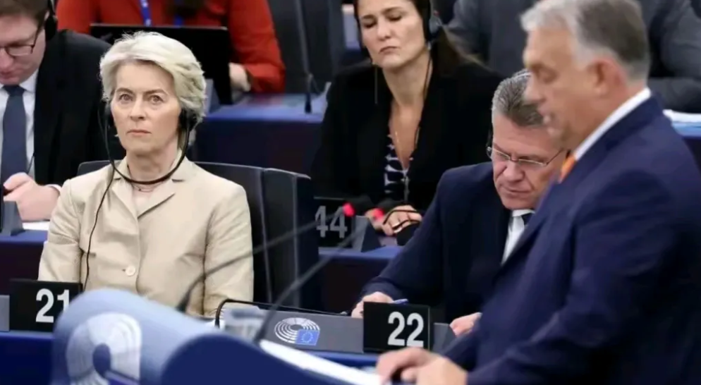 欧盟面临严峻挑战，冯德莱恩因被视为美国代言人遭多国不满，加剧内部矛盾。成员国间利