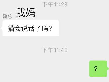 有时候我妈也想关心下我的猫……