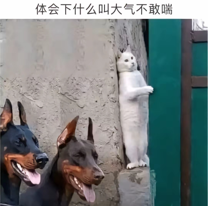 体会下什么叫大气不敢喘