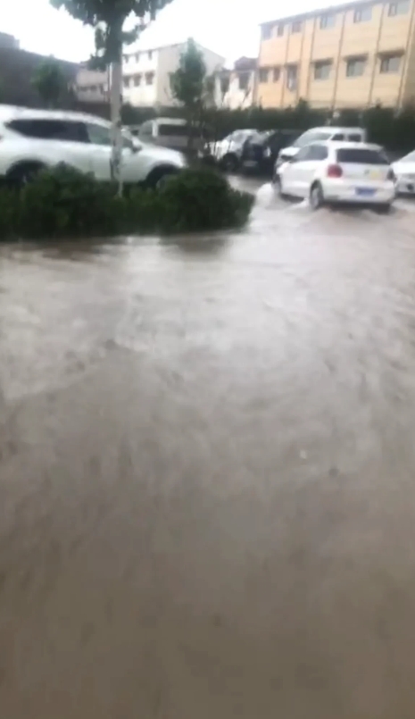 河南又发水了，大雨听说要持续6天……昨天家人群里发出来的，家门前都这样了，地势低