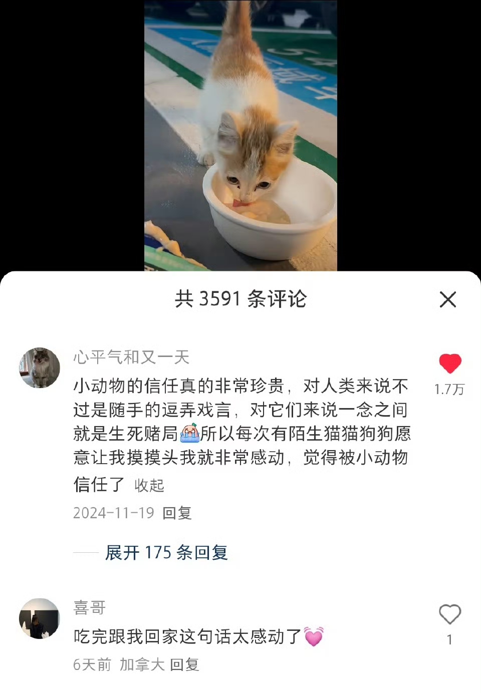 小动物的信任真的非常珍贵