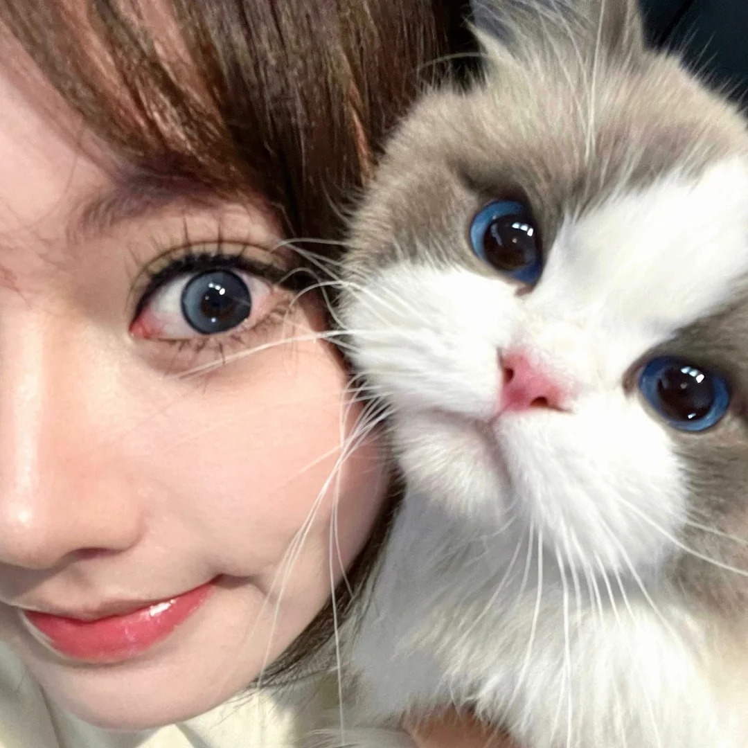 我的小猫居然会主动贴贴我诶
麻麻要拍照 你配合一下
奶米：好的 保证完成任务ʚ･