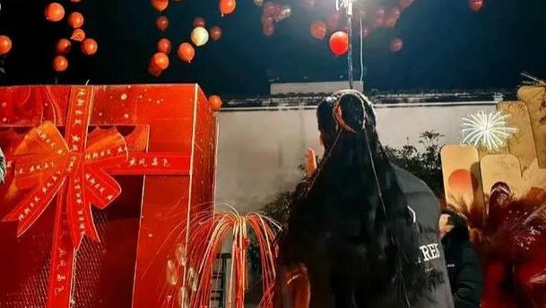 肖战、杨紫李现、杨幂、热巴、刘诗诗、李昀锐、龚俊、任嘉伦