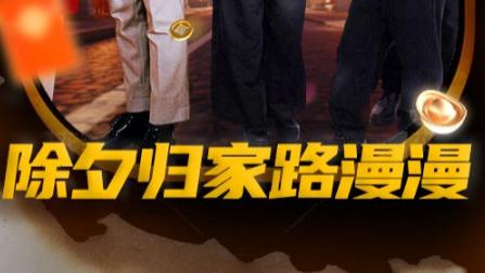 短剧在线观看《除夕归家路漫漫》完整版全集（35集）