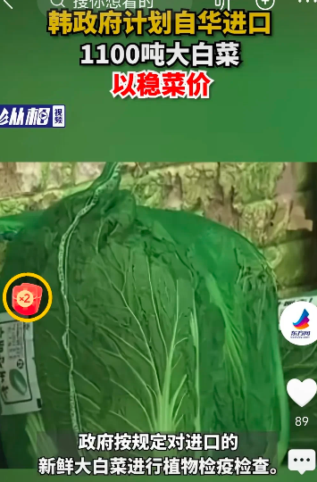 大白菜不再有白菜价的原因找到了。
国庆前夕，全国各地蔬菜价格突然上涨，令人猝不及