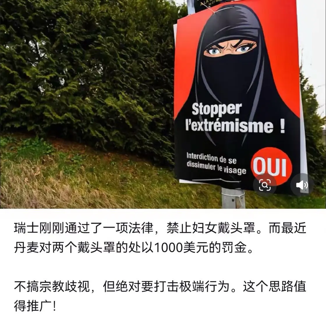 我觉得禁止戴头罩还远远不够，对于这帮人就应该遣返回原籍！
