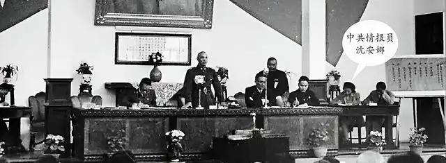 沈安娜潜伏国民党内部，以速记员身份传递重要情报，为革命事业作出巨大贡献