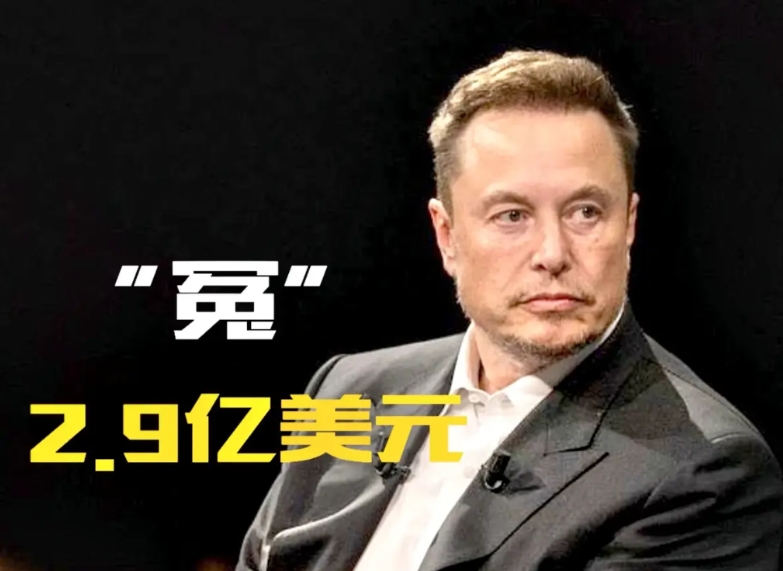 2.9亿美元买个冤大头！

马斯克“效率部”就是“得罪人”部，号称美国影子总统，