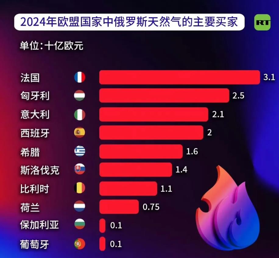 俄罗斯公布了2024年欧盟国家中俄罗斯天然气的主要买家，万万没想到的是法国居然排