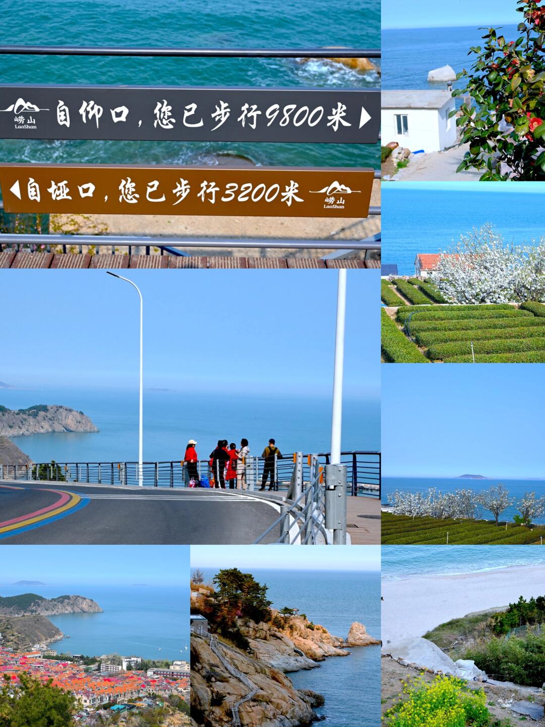 青岛小众Citywalk最美海边栈道