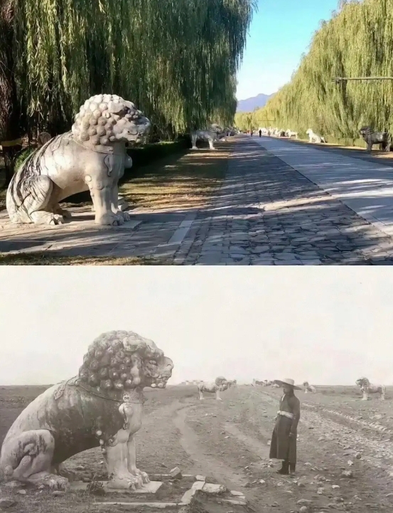 很多人不理解古代饥荒怎么饿死人的，挖点野草充饥也不至于。
