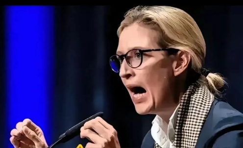 德国的民调，可谓是“一夜之间”百转千回。 支持选择党的魏德尔，他的支持率从41%