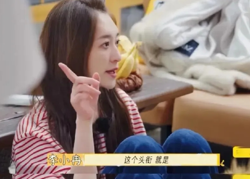 我敢打赌，李小冉的《一路繁花》绝对是剧本。

她要复刻的是“麦琳式”的成功！
