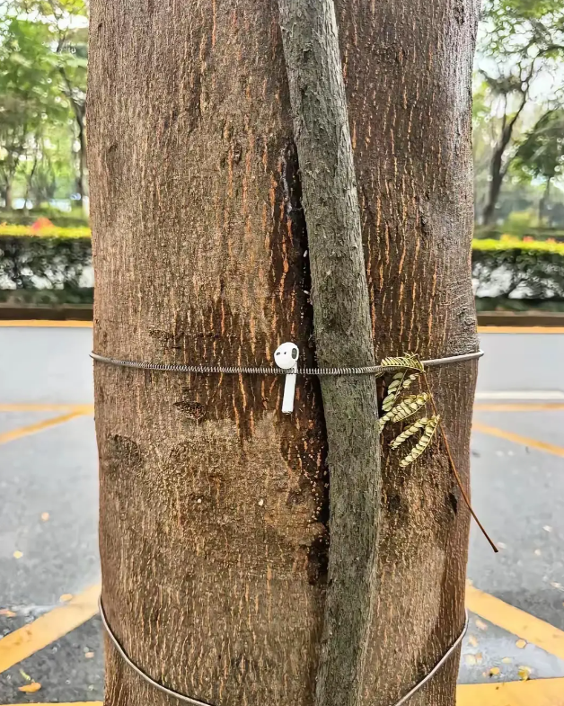 谢谢你，来自陌生人的善意