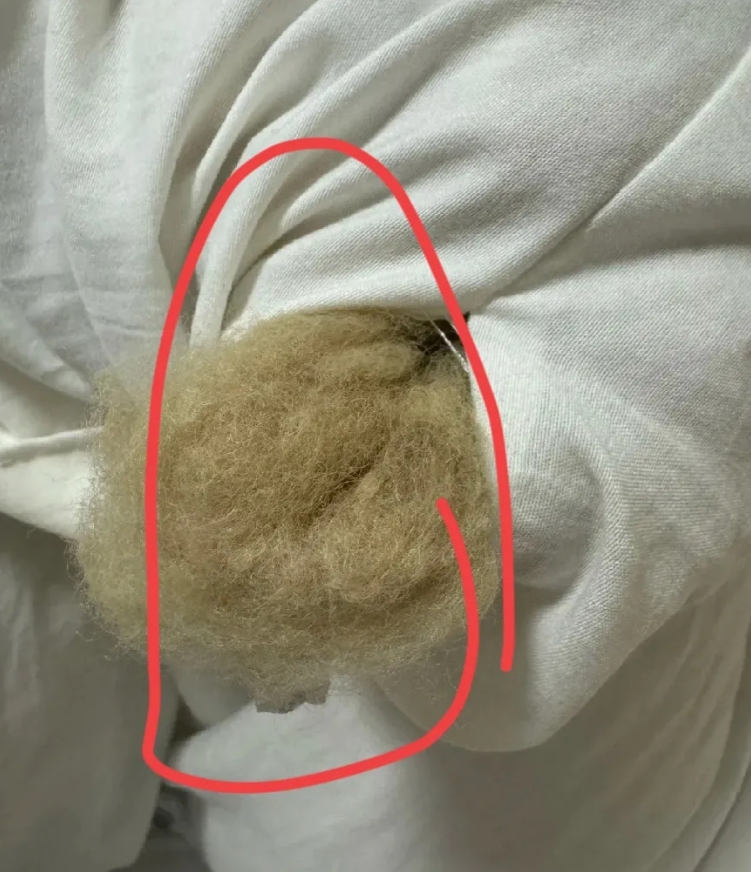 在网上买了一床被子，摸着挺软的，盖着也舒服，今天突发奇想看看里边的填充物！这不看