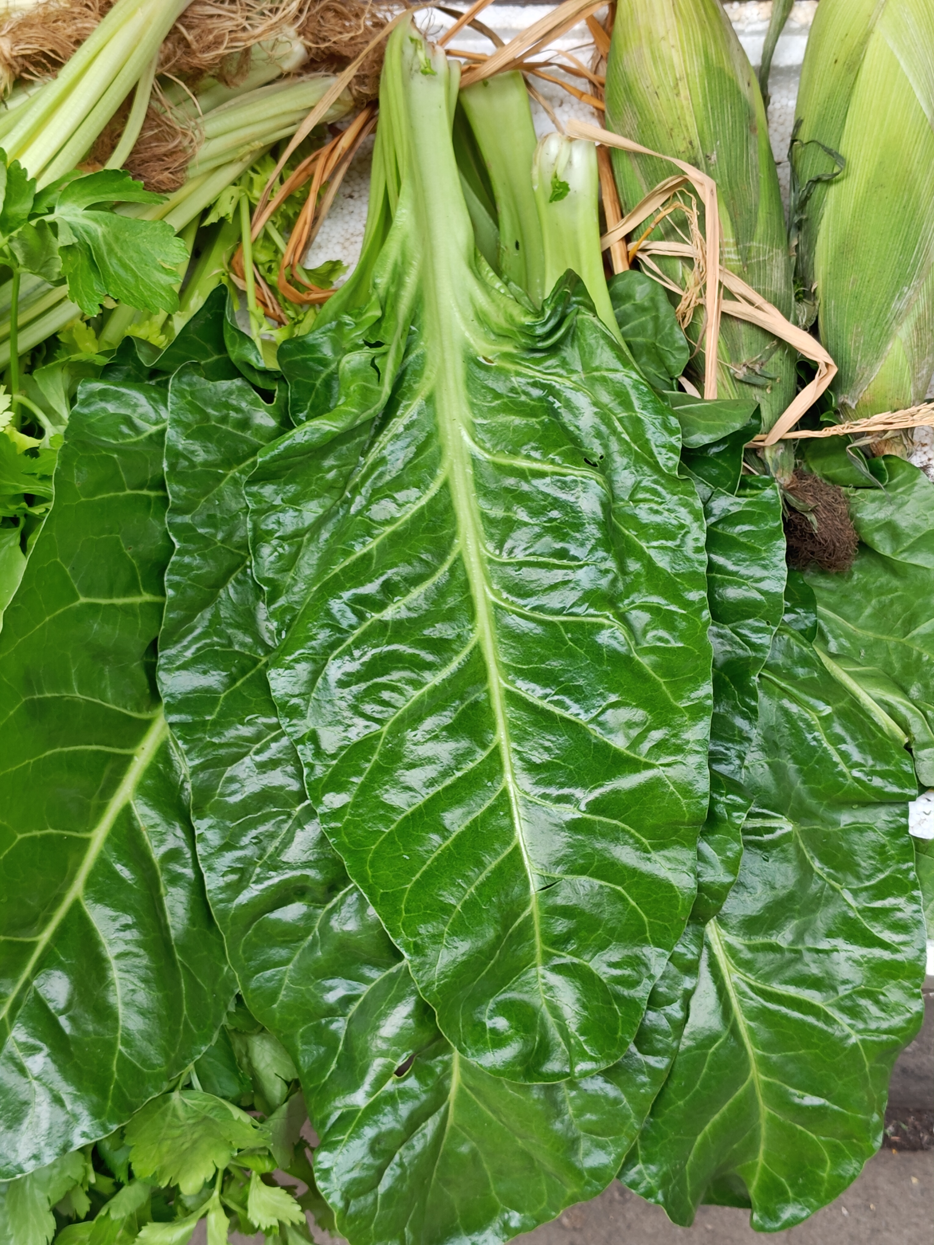 粤北习惯，菜叶按片卖，尤其是大芥菜，还有麦菜类。不过特产店这种猪乸菜（莙荙菜）叶