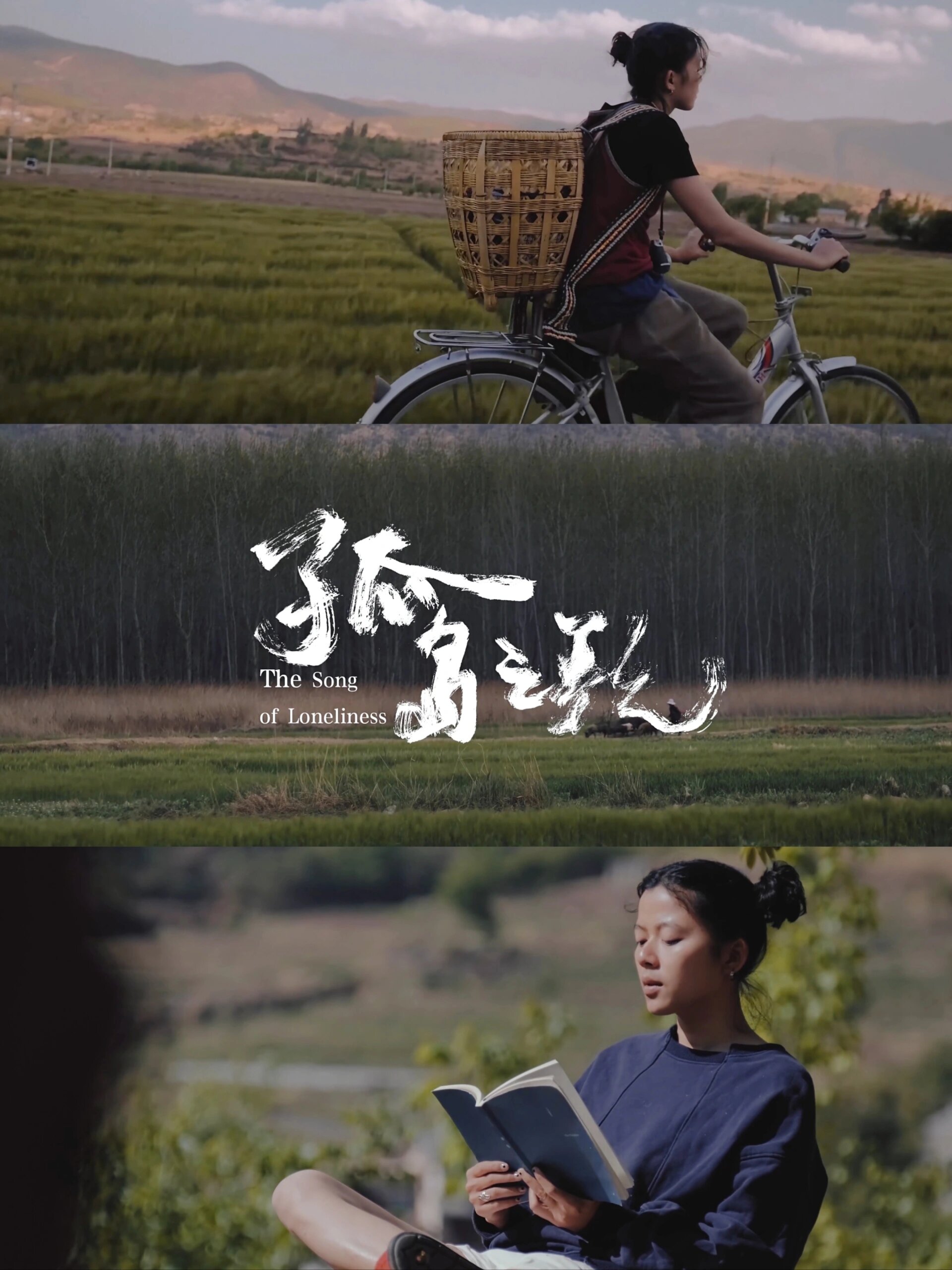 好剧推荐《孤岛之歌》