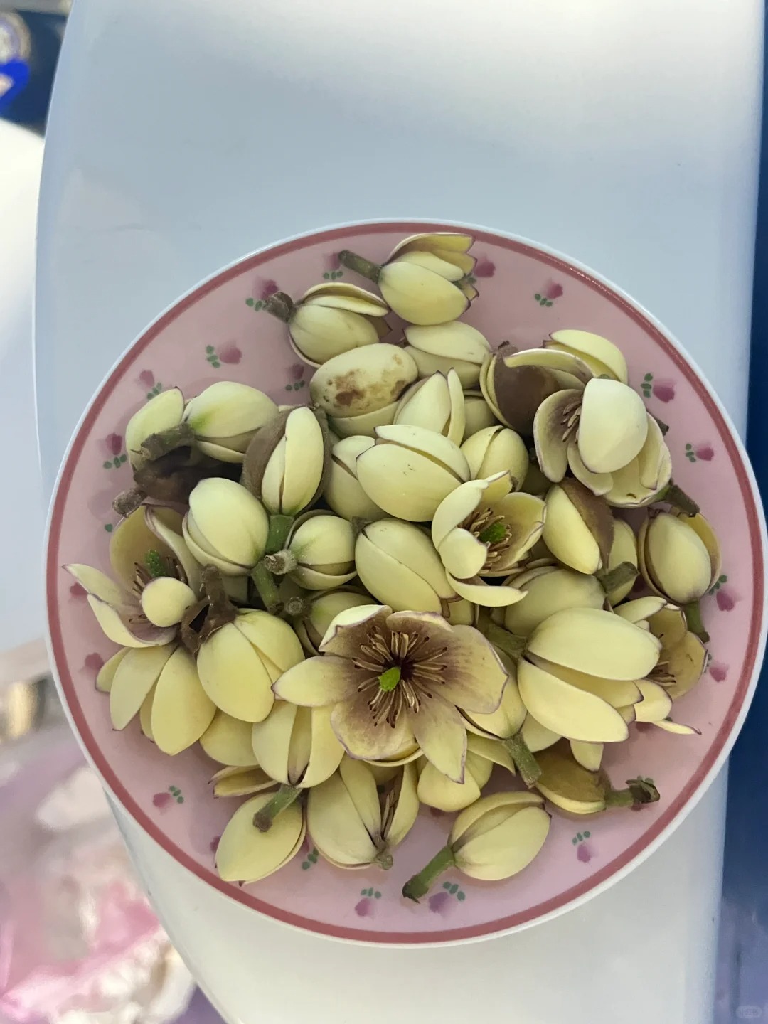 求问这是什么花，晚上回来发现房东放在马桶上的还怪香的🌷