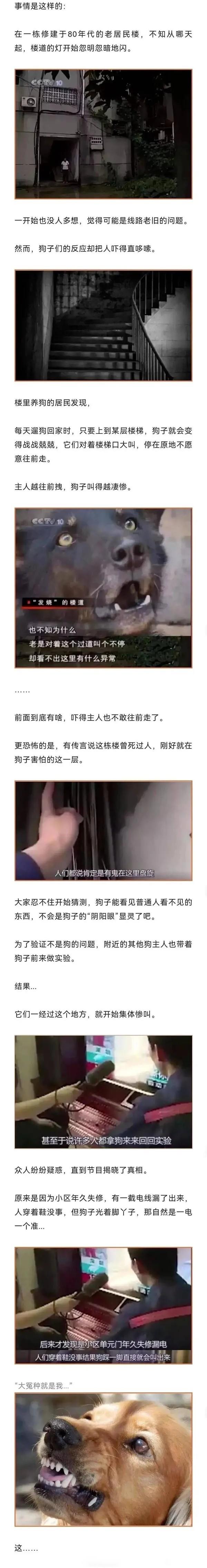 《走近科学之只有狗子受伤的世界诞生了》[笑哭]