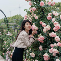 春风不语花园
