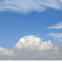 光头强又来砍树了