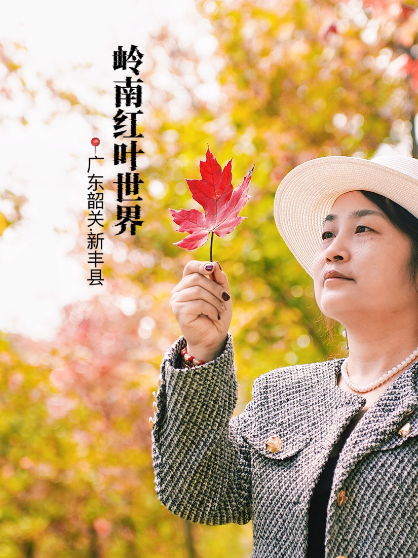 岭南红叶世界的枫叶红啦！