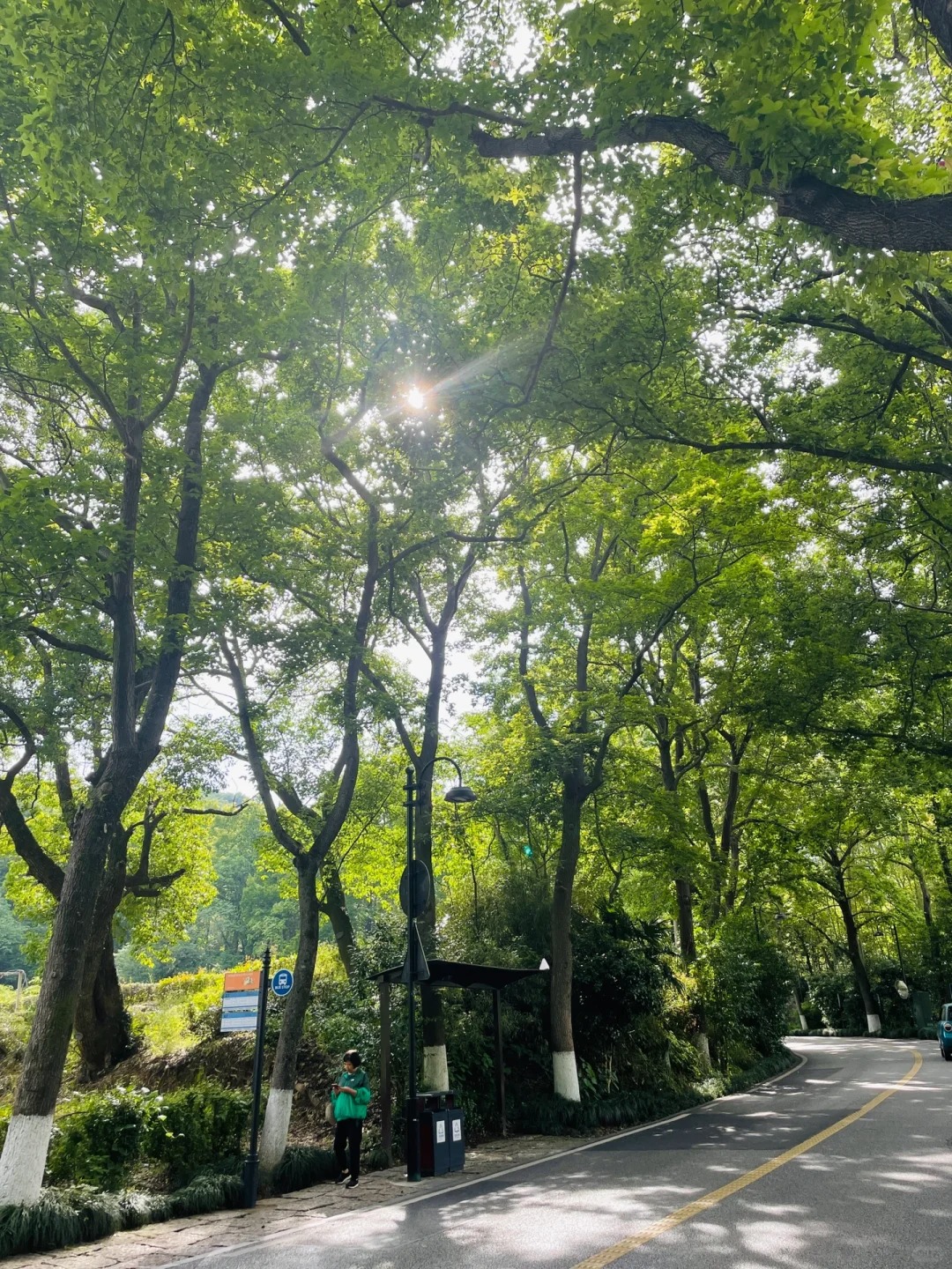 我又来了，哈哈哈哈，挑战失败