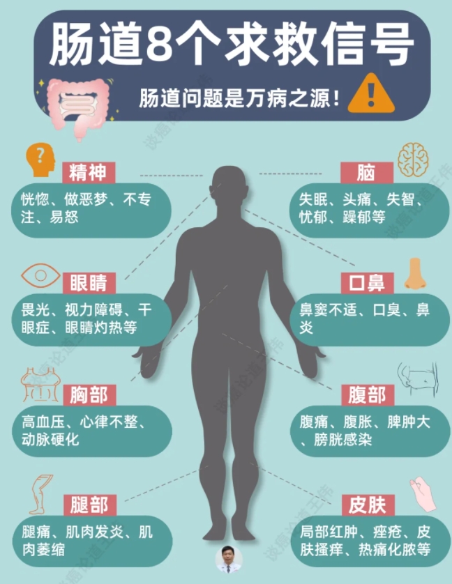 肠道问题是万病之源‼️肠道求救8大症状
肠道里含有大量的菌丛，又参与「代谢吸收」