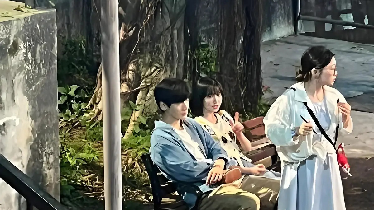 2025《树下有片红房子》电视剧全集免费观看国语完整版免费观看全集高清《树下有片红房子》在线观看-2