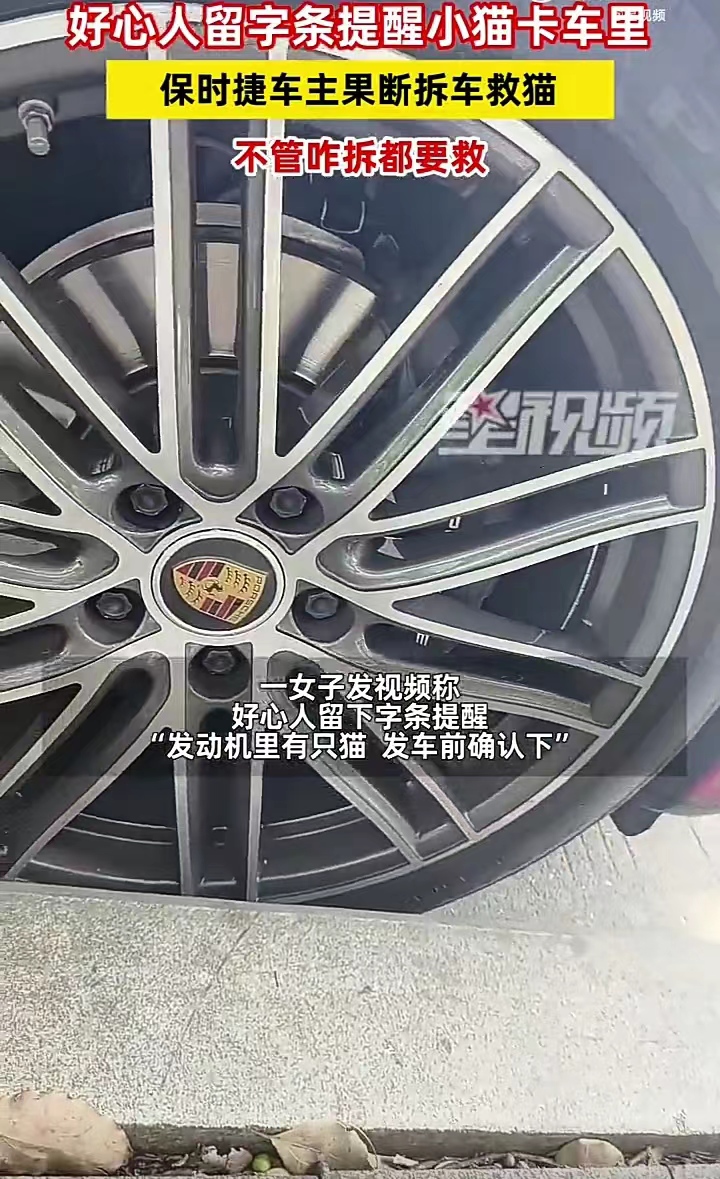 发动机里有只猫，发车前确认下