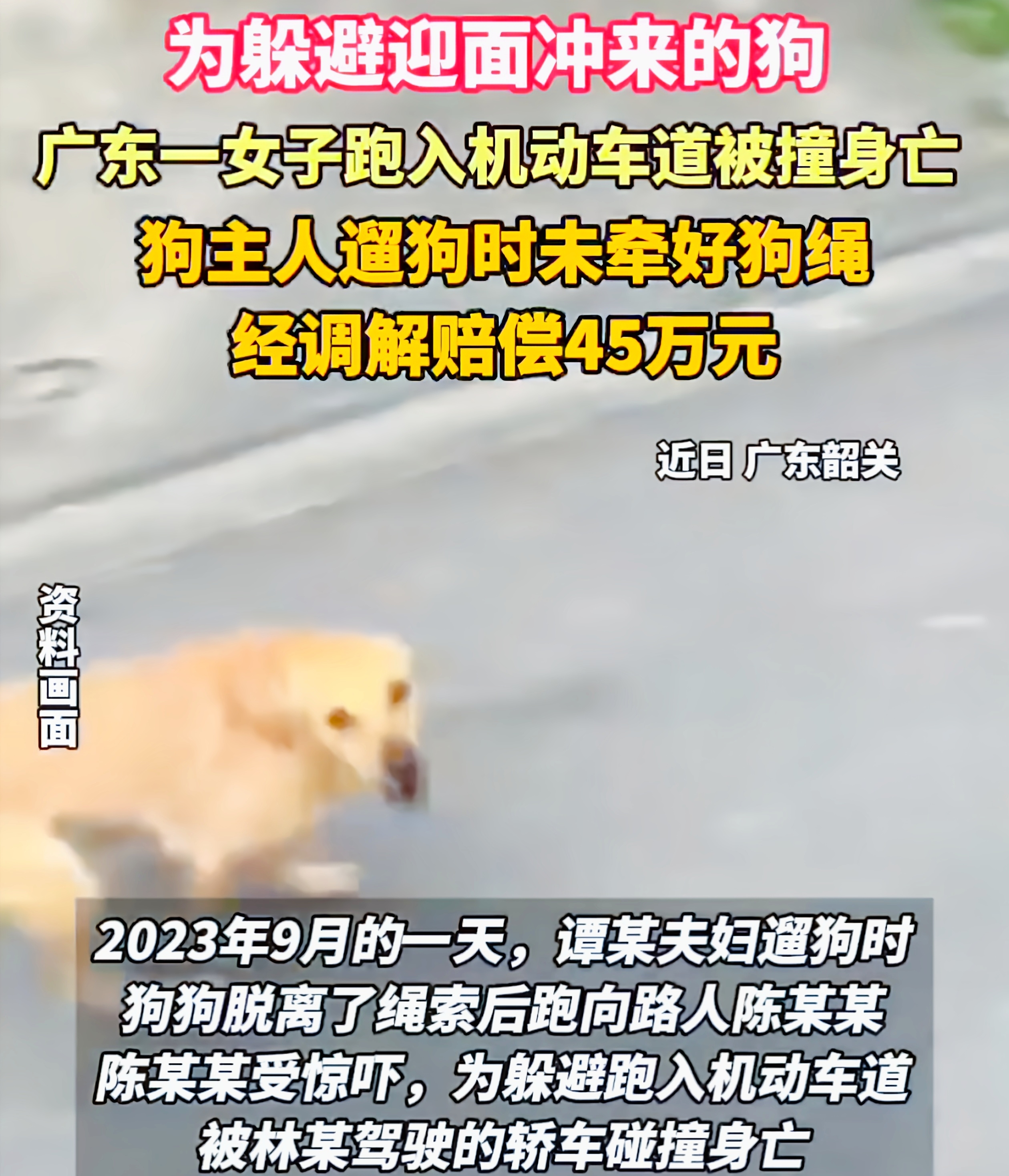 遛狗未牵绳致路人死亡，法院调解定责