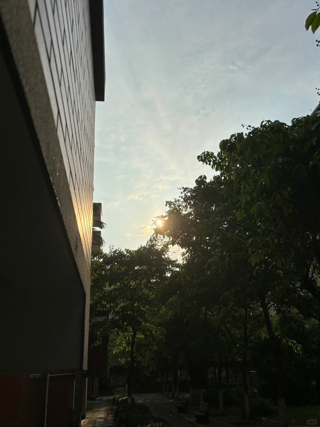 热到必须穿拖鞋😅
好想大睡特睡💤好累😔