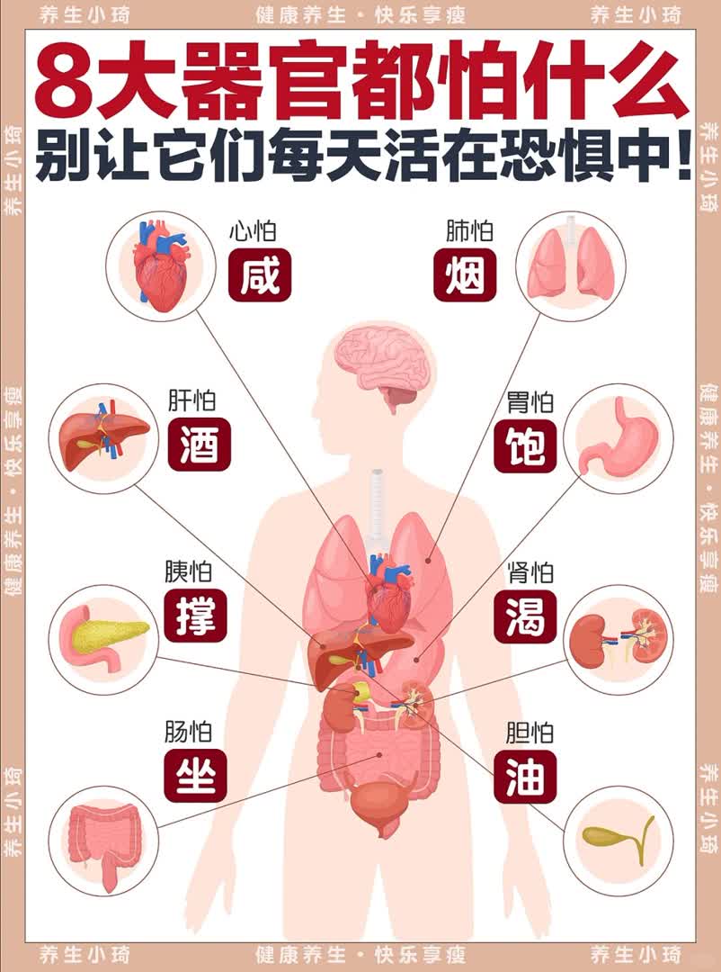  8大器官怕什么｜别让它们每天都活在恐惧中‼️