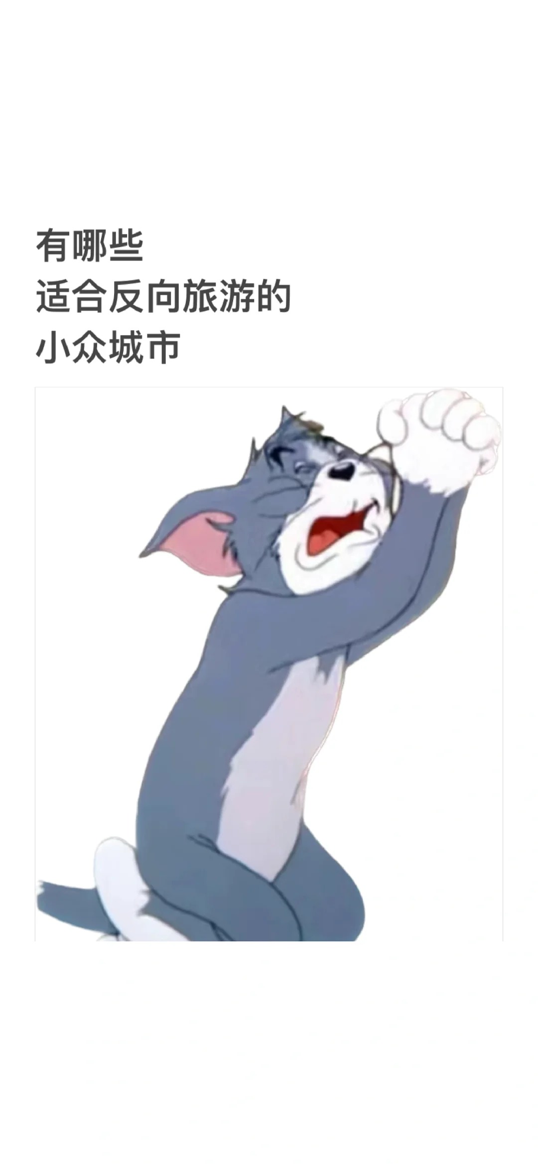 有没有特别值得去的冷门城市
现在热门旅游景点商业化太严重
千篇一律的商业街和小吃