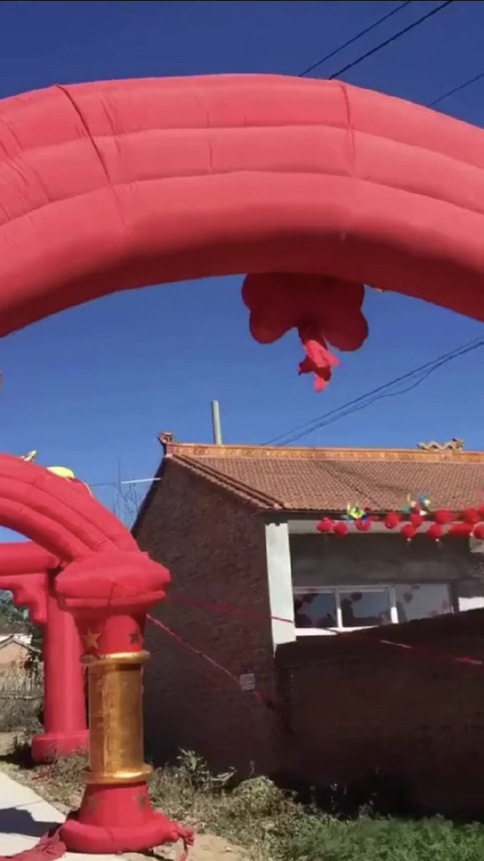 葱：无法承受的生命之重