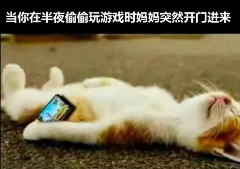 对对对，就是这个样子