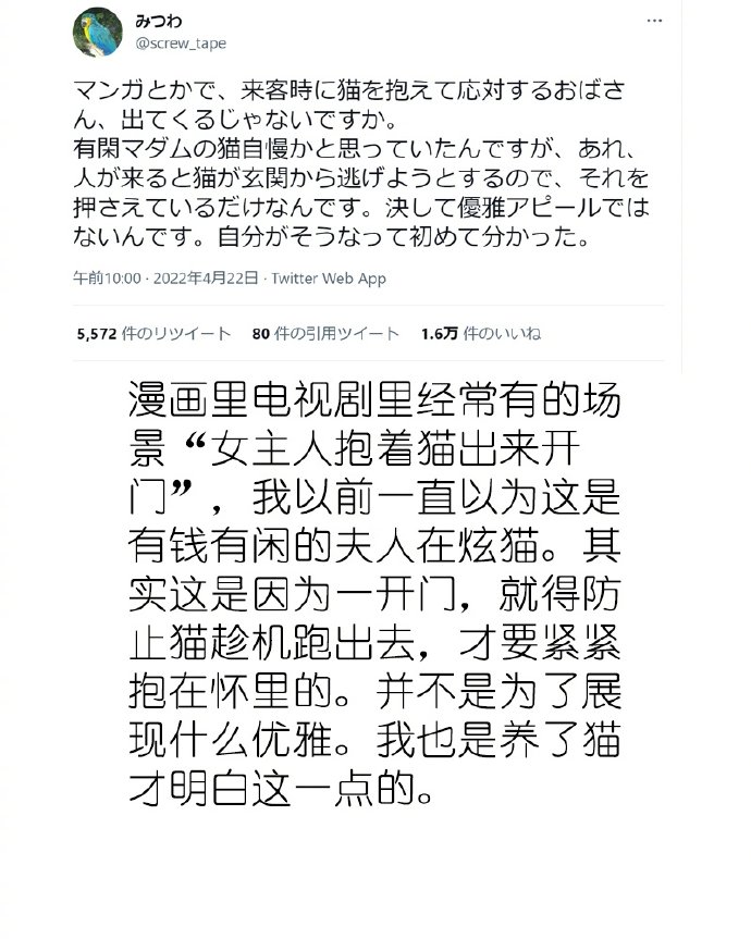 养过猫的人才知道