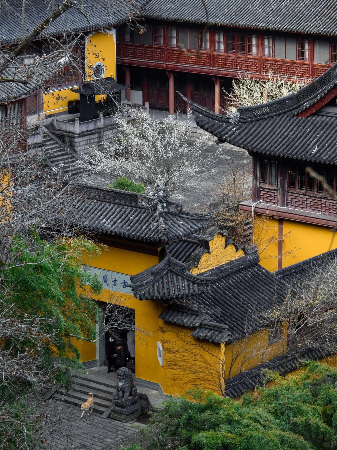 以为国清寺已经够美了，直到我去了这里….
·
为了这座瀑布上的寺院
我专门去了一