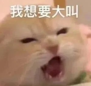 我靠考试之前跟我朋友看屈原列传 ，押对一半了都 ，她问我：会考哪句啊 ，我：其称